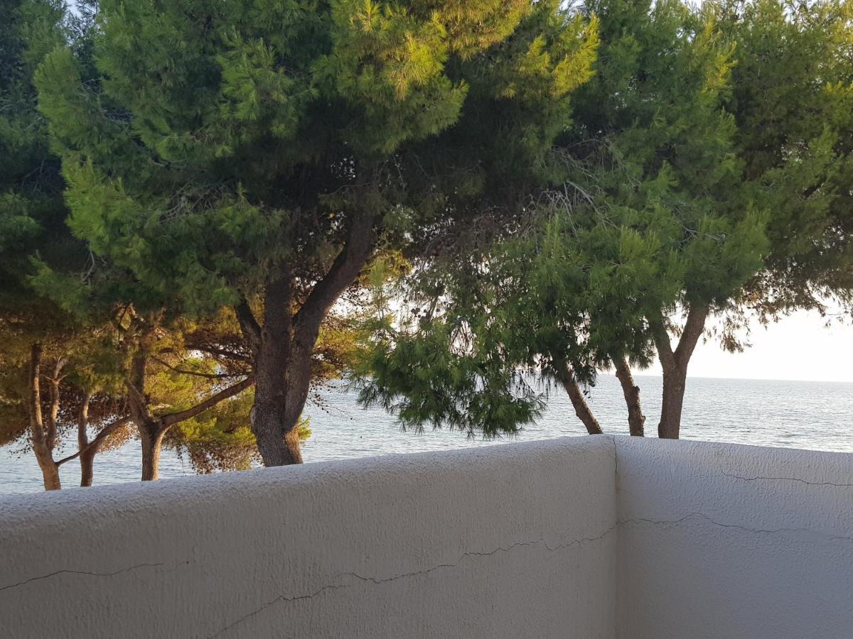 Appartamento La Caletta Gallipoli Bagian luar foto